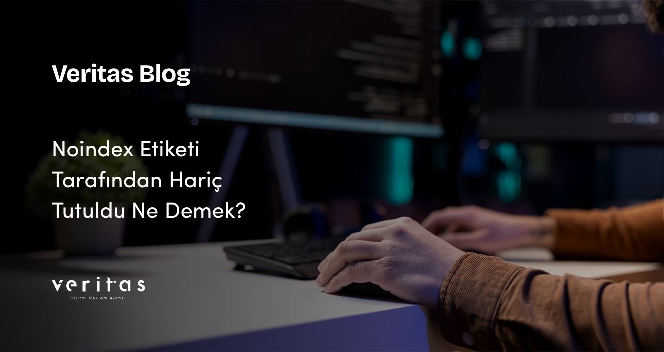 Noindex Etiketi Tarafından Hariç Tutuldu Ne Demek?