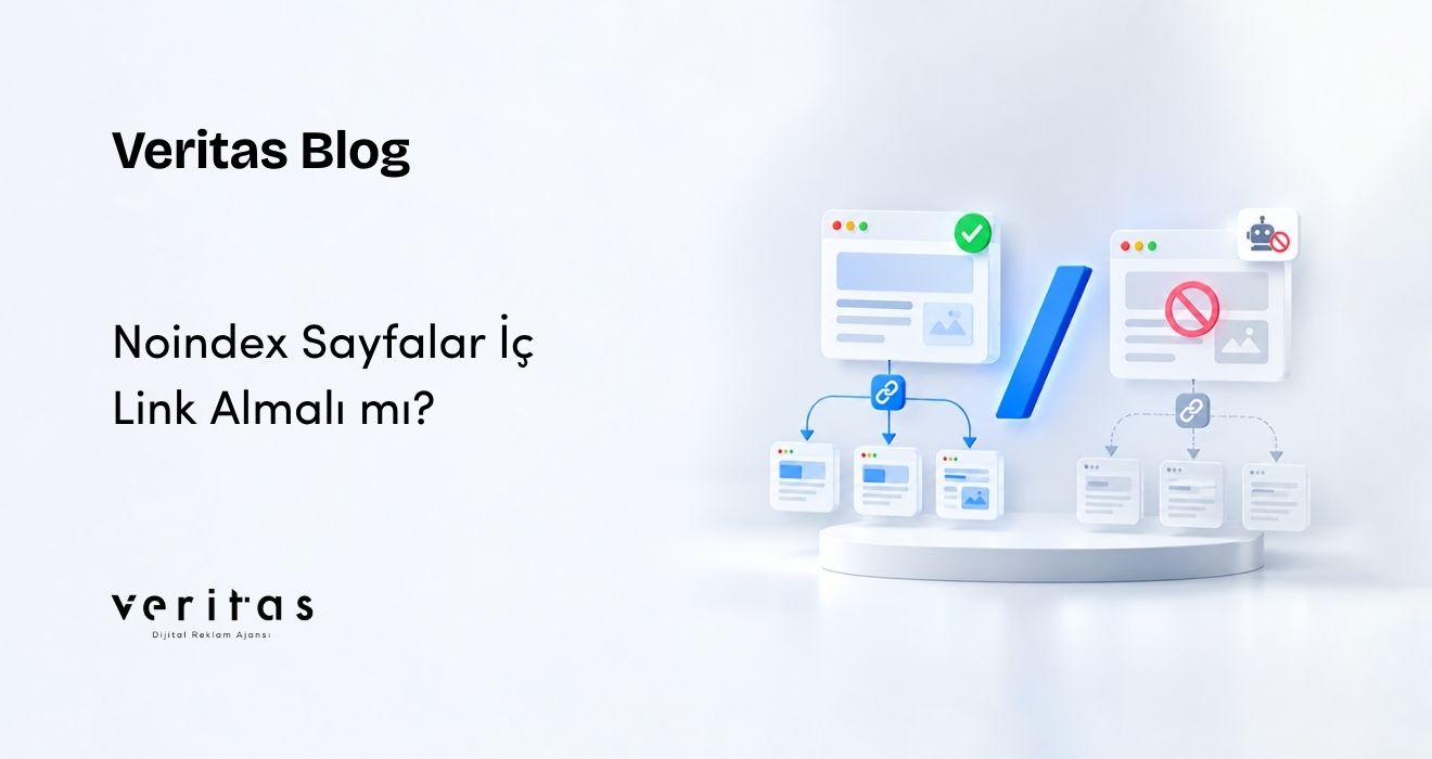 Noindex Sayfalar İç Link Almalı mı?